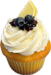 Lemon Blueberry Cupcake